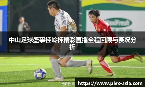 平博pinnacle网址