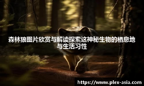 平博pinnacle网址