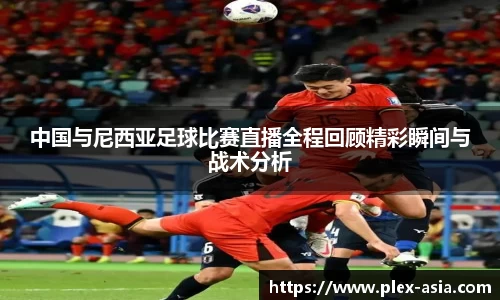 平博pinnacle网址